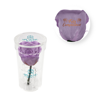 Feliz Cumpleaños - Acrylic Round Box (1 Preserved Stem)