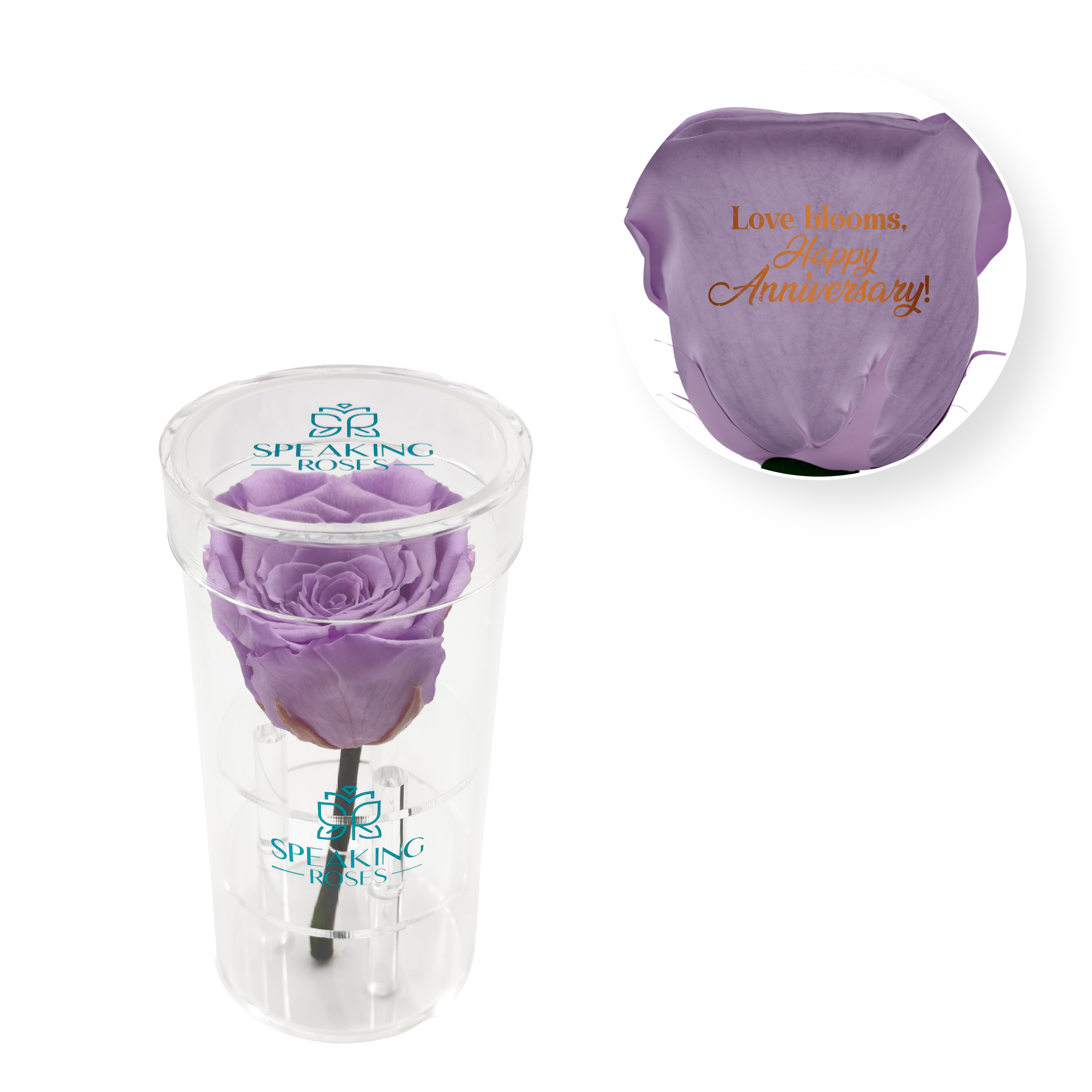 Love Blooms, Happy Anniversary! - Acrylic Round Box (1 Preserved Stem)