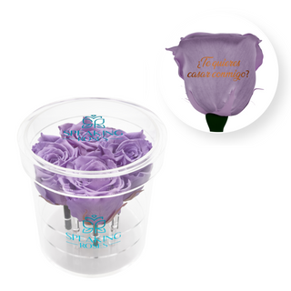 ¿Te quieres casar conmigo? - Round Acrylic Box (4 Preserved Stems)