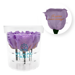 ¿Te quieres casar conmigo? - Round Acrylic Box (4 Preserved Stems)