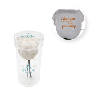 I Love You More Than Yesterday - Acrylic Round Box (1 Preserved Stem)