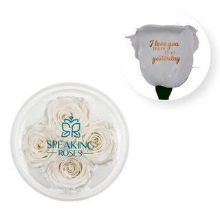 I love you more than yesterday - Round Acrylic Box (4 Preserved Stems)