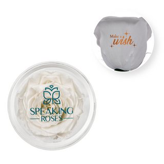 Make A Wish - Acrylic Round Box (1 Preserved Stem)