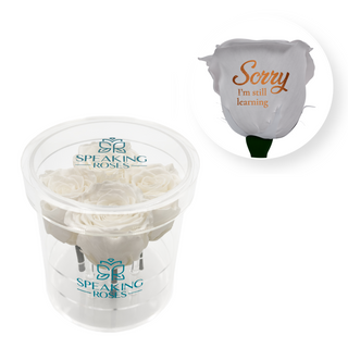 Sorry, I´m still learning - Round Acrylic Box (4 Preserved Stems)