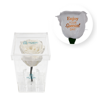 Enjoy your special day! - Square Acrylic Box  (1 Preserved Stem)
