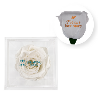 For our love story - Square Acrylic Box  (1 Preserved Stem)