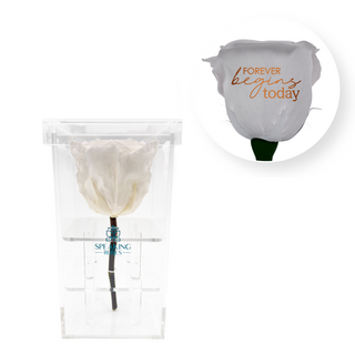 Forever begins today - Square Acrylic Box  (1 Preserved Stem)