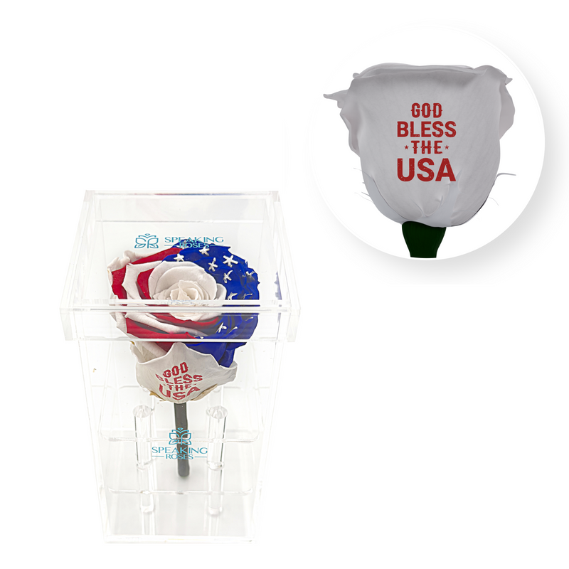 God bless the USA- Acrylic Square Box (1 Preserved Stem)