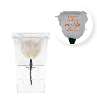 I want to share my life with you - Square Acrylic Box  (1 Preserved Stem)