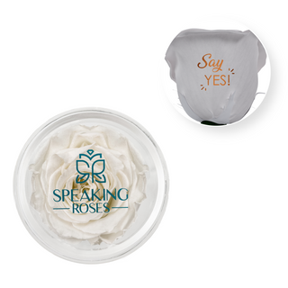 Say Yes - Acrylic Round Box (1 Preserved Stem)