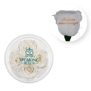 ¿Te quieres casar conmigo? - Round Acrylic Box (4 Preserved Stems)