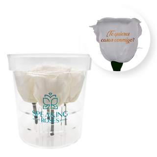 ¿Te quieres casar conmigo? - Round Acrylic Box (4 Preserved Stems)