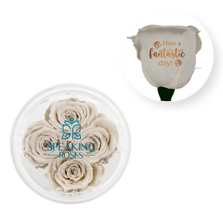 Have a fantastic day! - Round Acrylic Box (4 Preserved Stems)