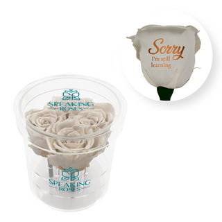 Sorry, I´m still learning - Round Acrylic Box (4 Preserved Stems)