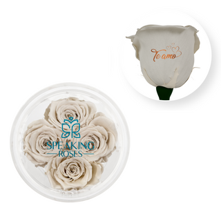 Te amo - Round Acrylic Box (4 Preserved Stems)