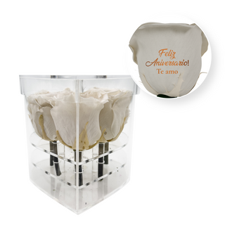 Feliz aniversario! Te amo - Heart Acrylic Box  (6 Preserved Stems)