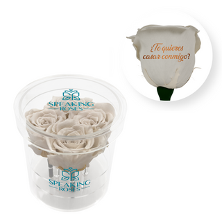 ¿Te quieres casar conmigo? - Round Acrylic Box (4 Preserved Stems)