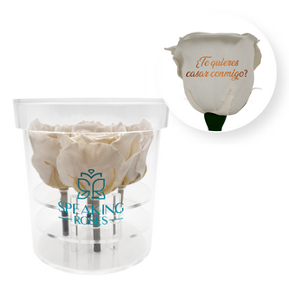 ¿Te quieres casar conmigo? - Round Acrylic Box (4 Preserved Stems)