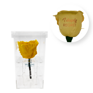 I deeply regret - Square Acrylic Box  (1 Preserved Stem)
