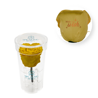 Make A Wish - Acrylic Round Box (1 Preserved Stem)