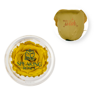Make A Wish - Acrylic Round Box (1 Preserved Stem)