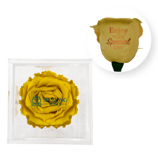Enjoy your special day! - Square Acrylic Box  (1 Preserved Stem)