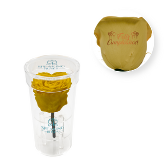 Feliz Cumpleaños - Acrylic Round Box (1 Preserved Stem)