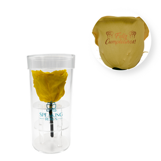 Feliz Cumpleaños - Acrylic Round Box (1 Preserved Stem)