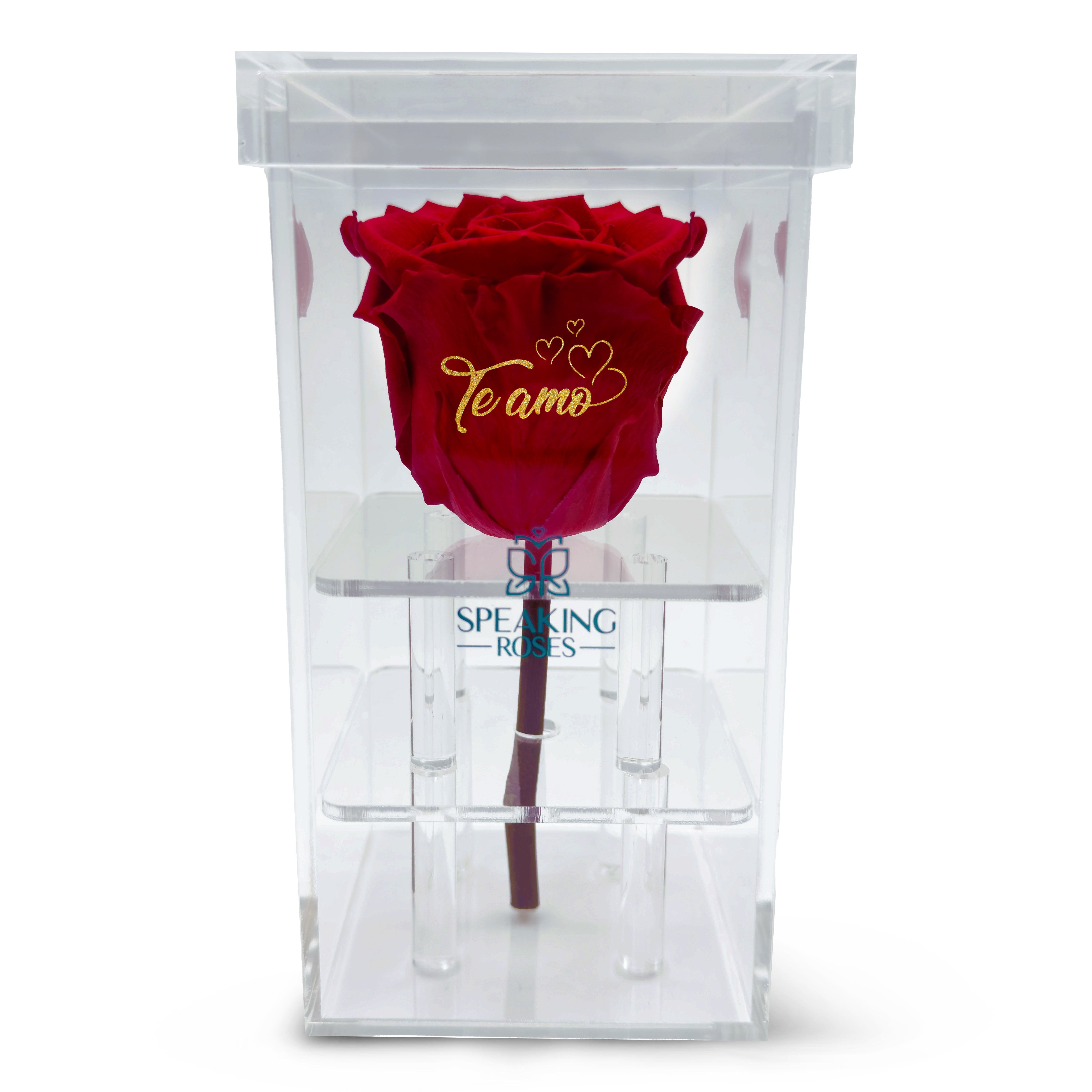 Valentine's day - Te amo - Acrylic Square Box (One Premium Rose)