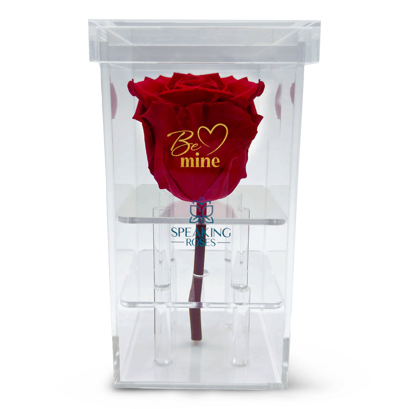 Valentine's day - Be mine - Acrylic Square Box (One Premium Rose)