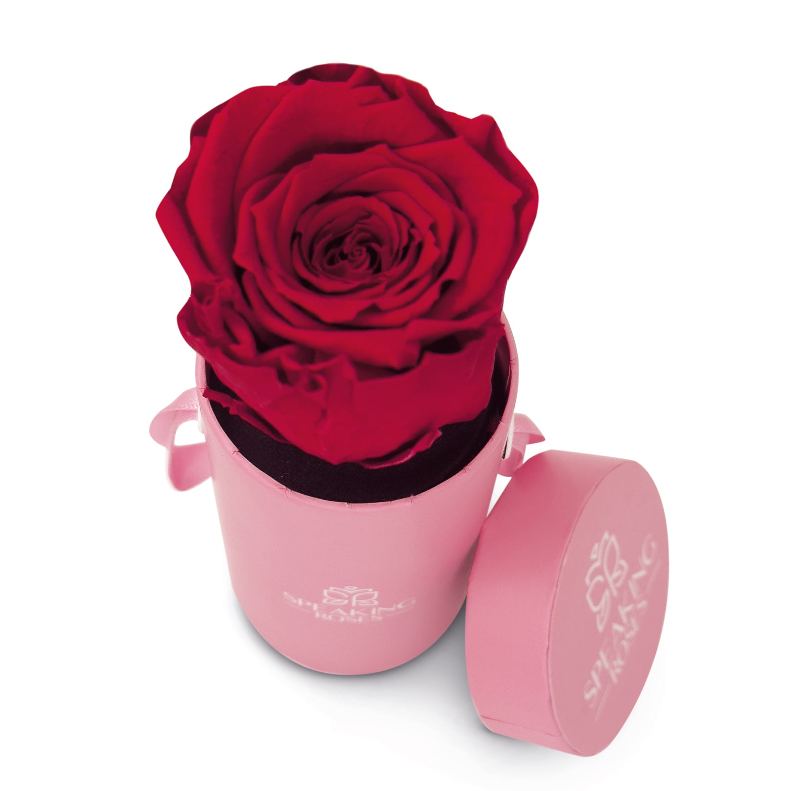 Valentine's day - Te amo - Round Paper Box (One Premium Rose)