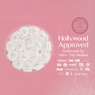 Acrisse Char - Valentine's Day Collection