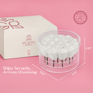 Acrisse Char - Valentine's Day Collection