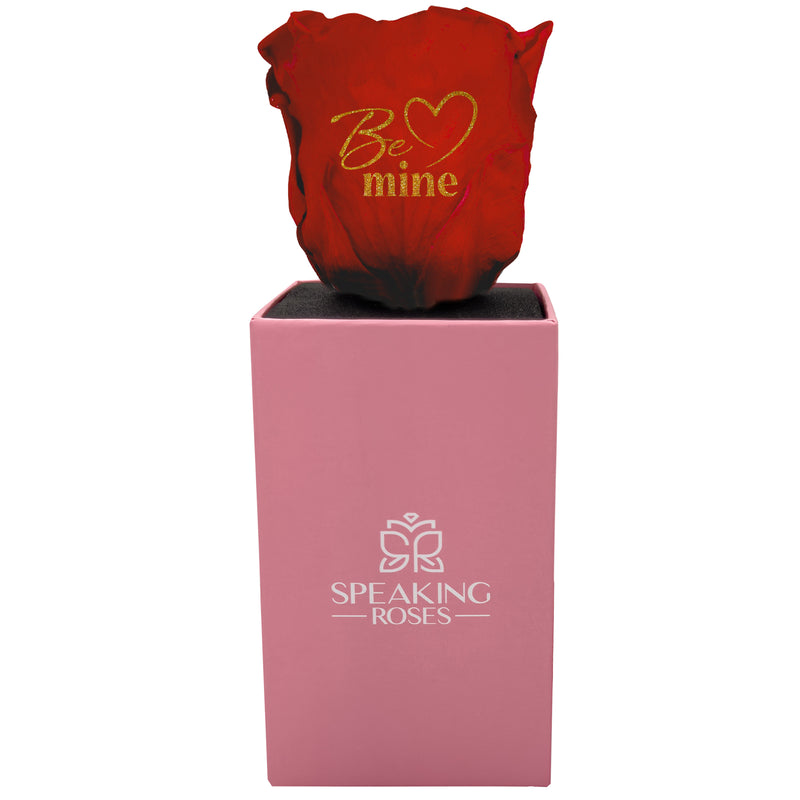 Valentine's day - Be mine - Square Pull and Bloom Box (One Premium Rose)