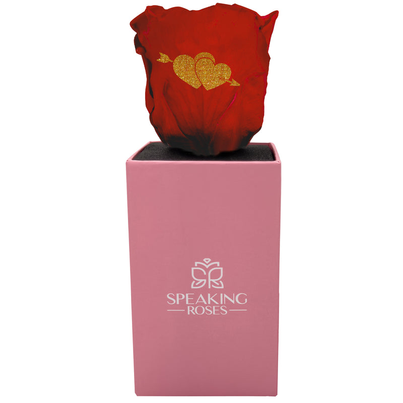 Valentine's day - Cupid - Square Pull and Bloom Box (One Premium Rose)