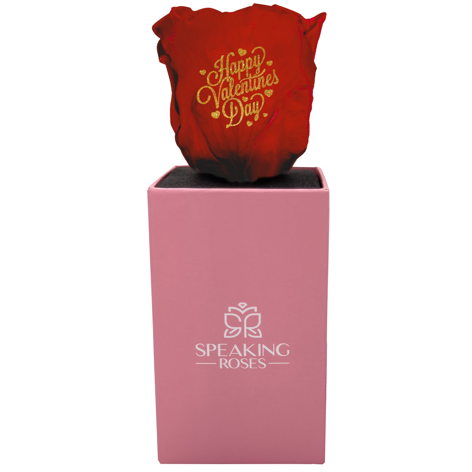 Valentine's day - Happy Valentines Day - Square Pull and Bloom Box (One Premium Rose)