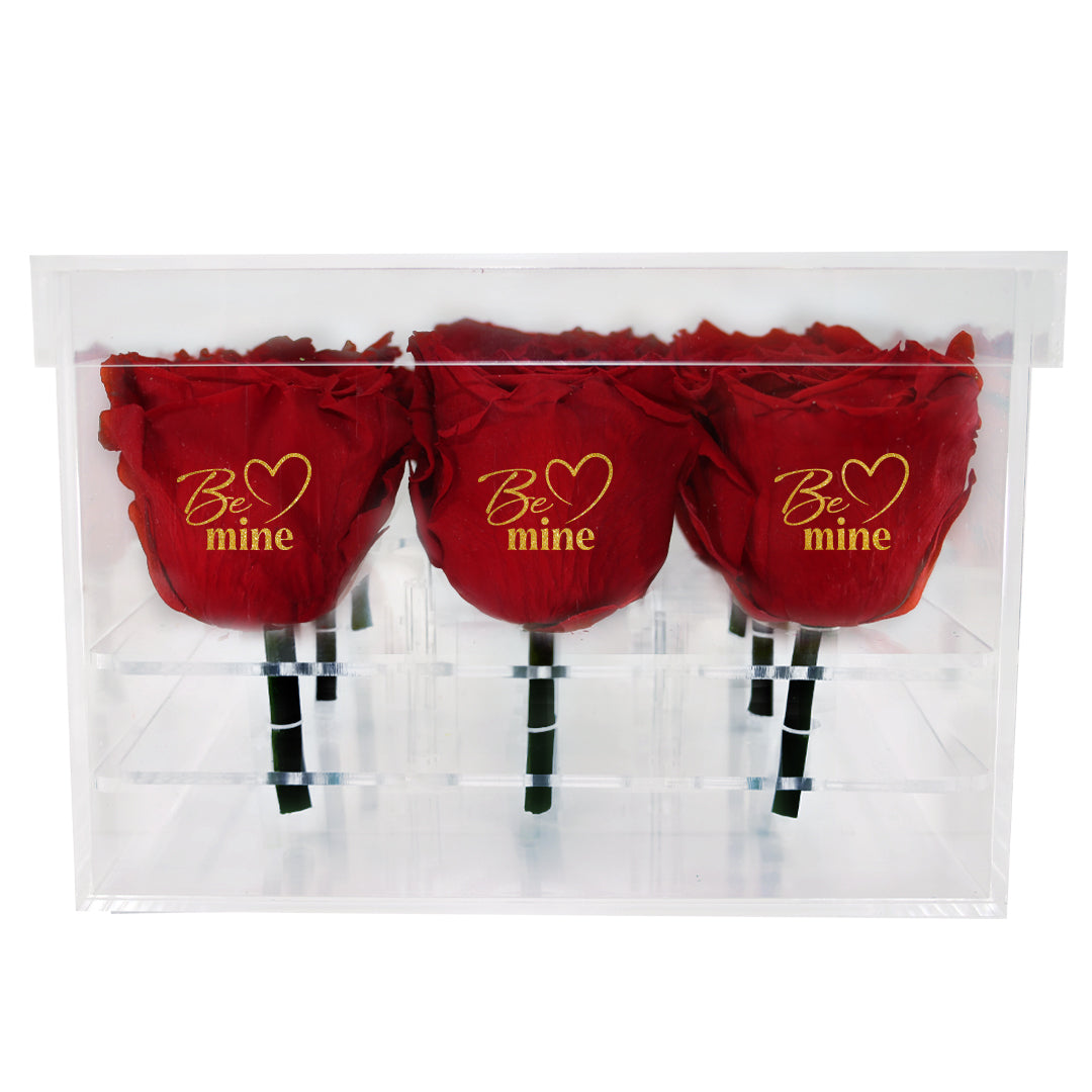 Valentine's day - Be mine - Acrylic Square Box (9 Premium Roses)